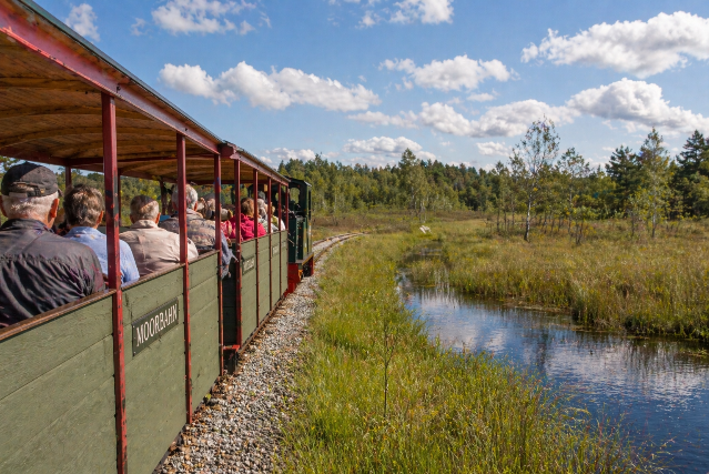 Kunstmeile Sittensen mit Moorbahnfahrt und Moorbahn Café in Tiste